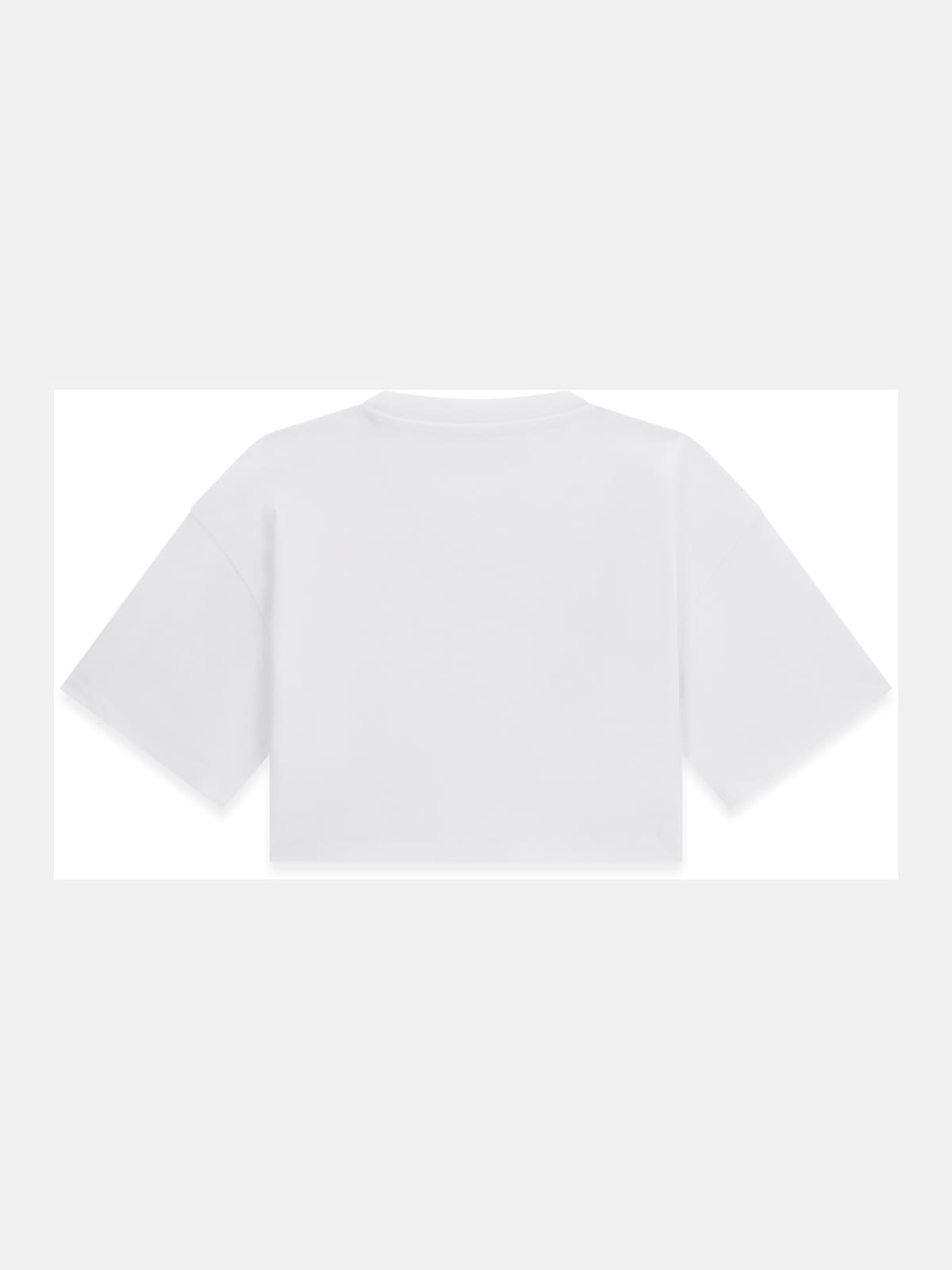 J6ri11 Kcnq4 G011 2 J6ri11 Kcnq4 G011 2